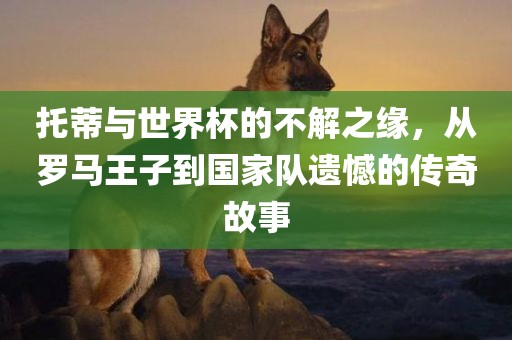 托蒂与世界杯的不解之缘，从罗马王子到国家队遗憾的传奇故事