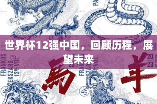 世界杯12强中国，回顾历程，展望未来