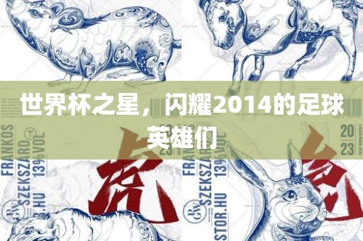 世界杯之星，闪耀2014的足球英雄们