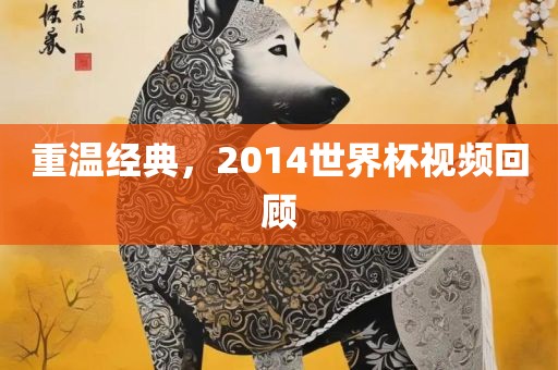 重温经典，2014世界杯视频回顾