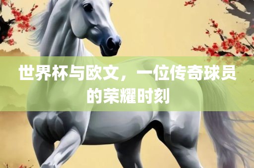 世界杯与欧文，一位传奇球员的荣耀时刻