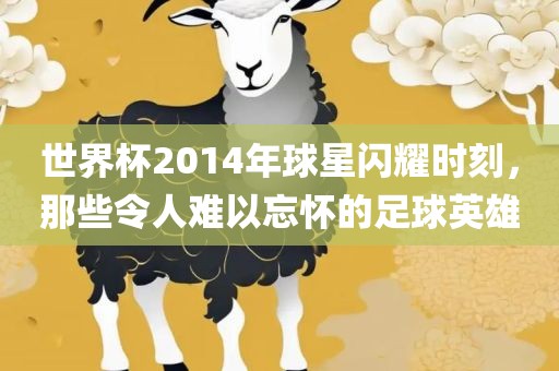 世界杯2014年球星闪耀时刻，那些令人难以忘怀的足球英雄