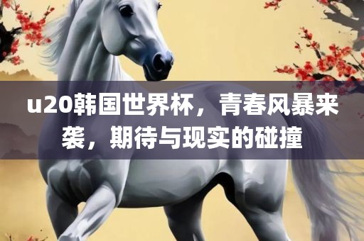 u20韩国世界杯，青春风暴来袭，期待与现实的碰撞
