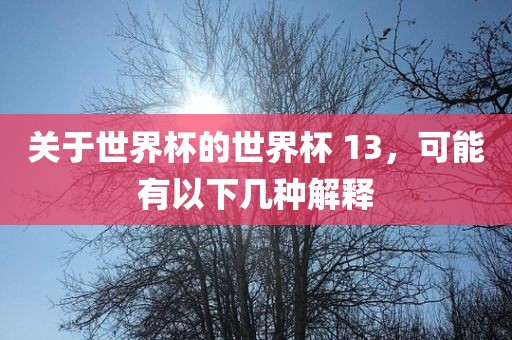关于世界杯的世界杯 13，可能有以下几种解释