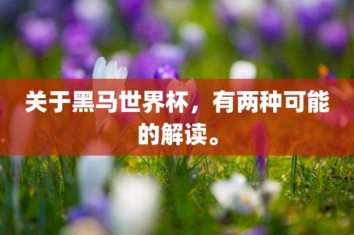 关于黑马世界杯，有两种可能的解读。