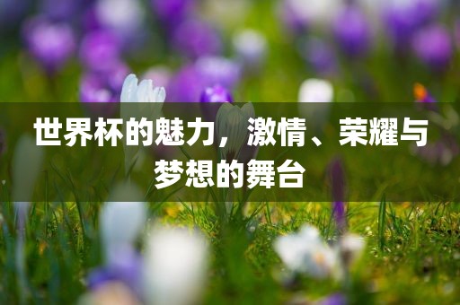 世界杯的魅力，激情、荣耀与梦想的舞台