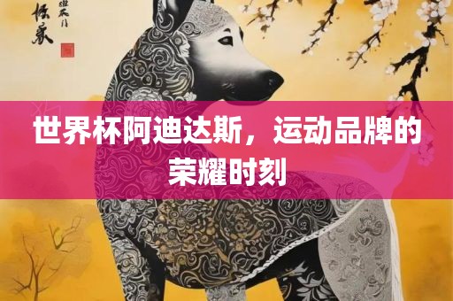 世界杯阿迪达斯，运动品牌的荣耀时刻