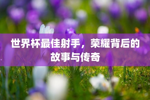 世界杯最佳射手，荣耀背后的故事与传奇