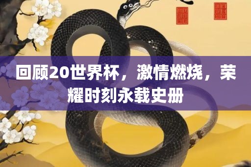 回顾20世界杯，激情燃烧，荣耀时刻永载史册漯河市盈旭机械设备有限公司