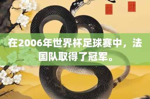 在2006年世界杯足球赛中，法国队取得了冠军。