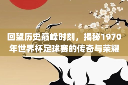 回望历史巅峰时刻，揭秘1970年世界杯足球赛的传奇与荣耀