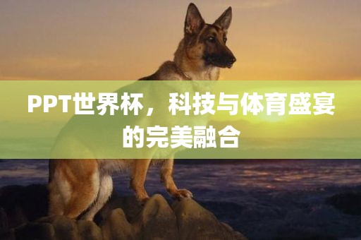 PPT世界杯，科技与体育盛宴的完美融合
