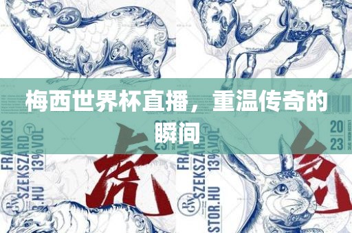 梅西世界杯直播，重温传奇的瞬间