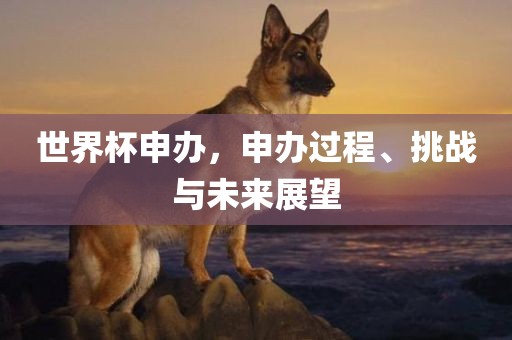 世界杯申办，申办过程、挑战与未来展望