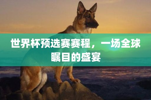 世界杯预选赛赛程，一场全球瞩目的盛宴