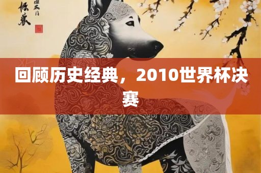 回顾历史经典，2010世界杯决赛