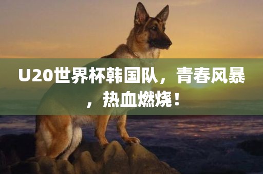 U20世界杯韩国队，青春风暴，热血燃烧！