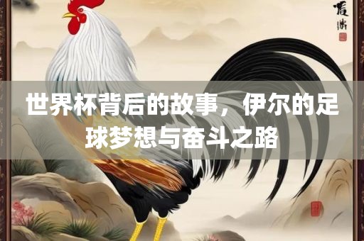 世界杯背后的故事，伊尔的足球梦想与奋斗之路