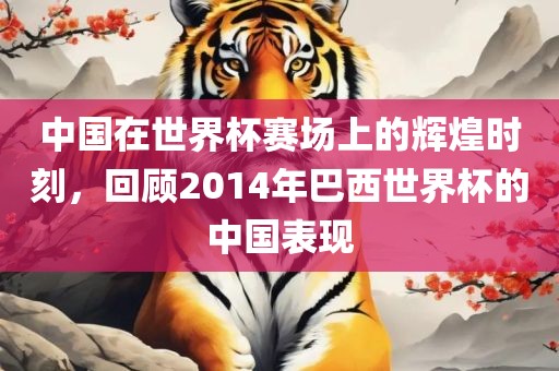 中国在世界杯赛场上的辉煌时刻，回顾2014年巴西世界杯的中国表现