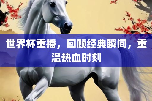 世界杯重播，回顾经典瞬间，重温热血时刻