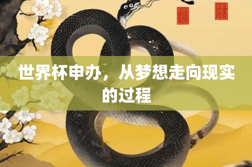 世界杯申办，从梦想走向现实的过程