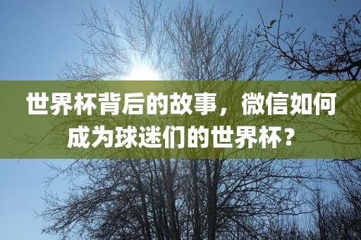 世界杯背后的故事，微信如何成为球迷们的世界杯？