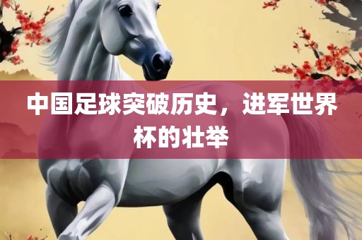 中国足球突破历史，进军世界杯的壮举