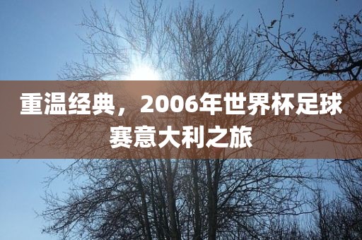 重温经典，2006年世界杯足球赛意大利之旅
