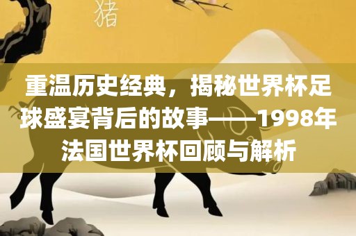 重温历史经典，揭秘世界杯足球盛宴背后的故事——1998年法国世界杯回顾与解析