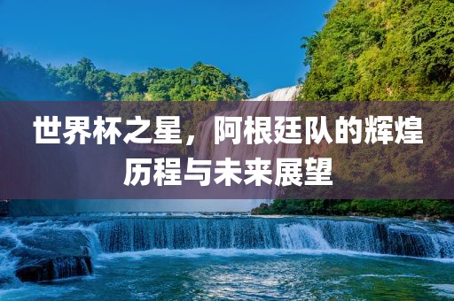 世界杯之星，阿根廷队的辉煌历程与未来展望