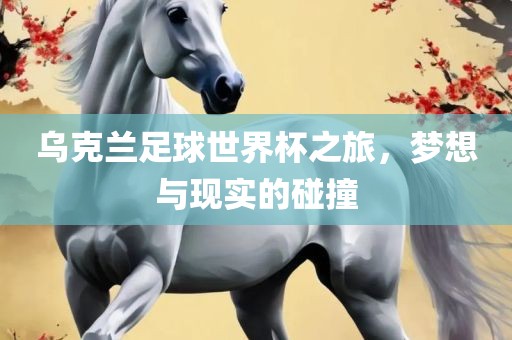 乌克兰足球世界杯之旅，梦想与现实的碰撞