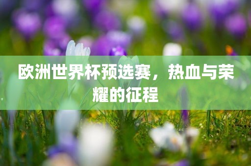 欧洲世界杯预选赛，热血与荣耀的征程