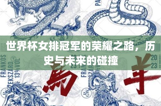 世界杯女排冠军的荣耀之路，历史与未来的碰撞