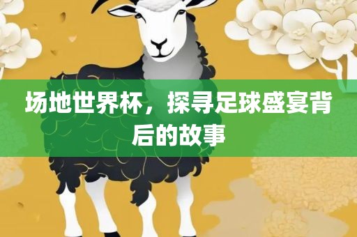 场地世界杯，探寻足球盛宴背后的故事