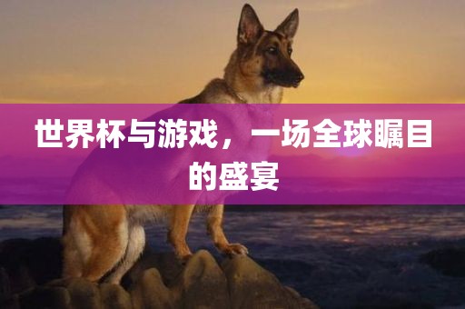 世界杯与游戏，一场全球瞩目的盛宴