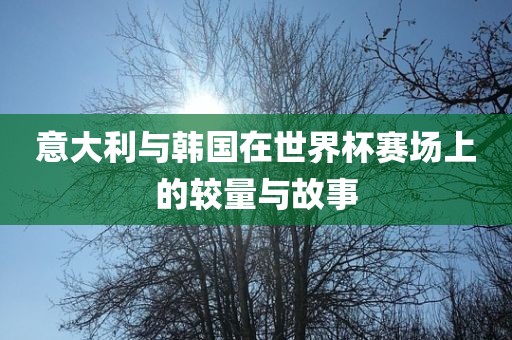 意大利与韩国在世界杯赛场上的较量与故事