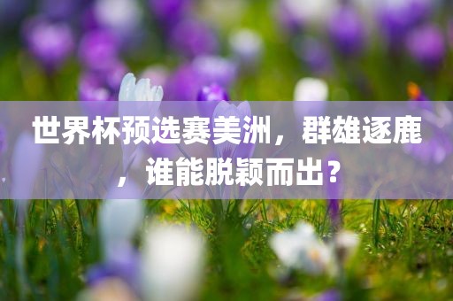 世界杯预选赛美洲，群雄逐鹿，谁能脱颖而出？