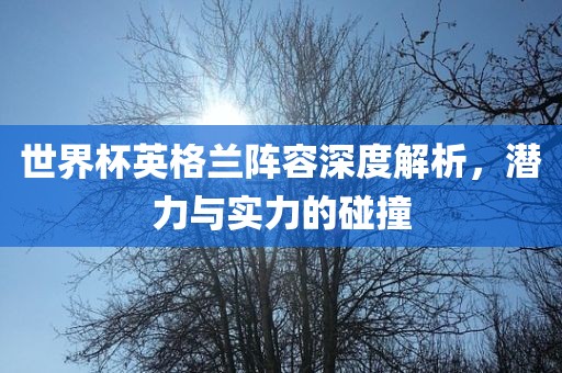 世界杯英格兰阵容深度解析，潜力与实力的碰撞