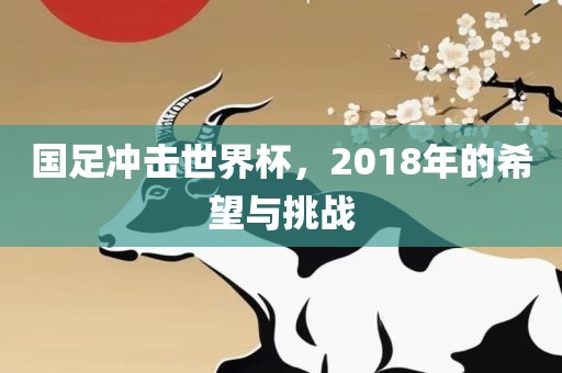 国足冲击世界杯，2018年的希望与挑战