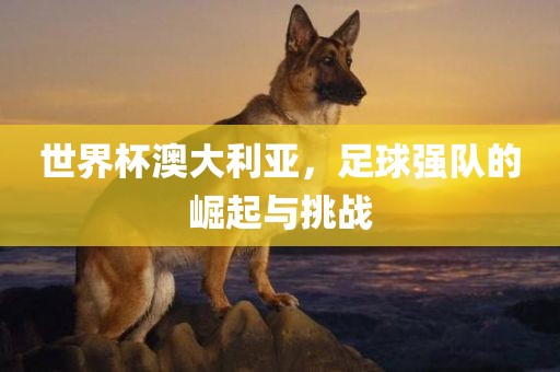 世界杯澳大利亚，足球强队的崛起与挑战