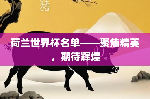 荷兰世界杯名单——聚焦精英，期待辉煌