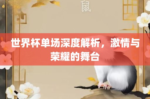 世界杯单场深度解析，激情与荣耀的舞台