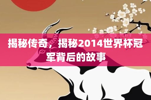揭秘传奇，揭秘2014世界杯冠军背后的故事