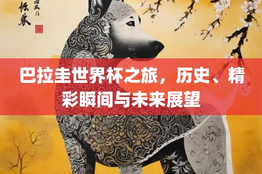 巴拉圭世界杯之旅，历史、精彩瞬间与未来展望