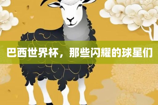 巴西世界杯，那些闪耀的球星们