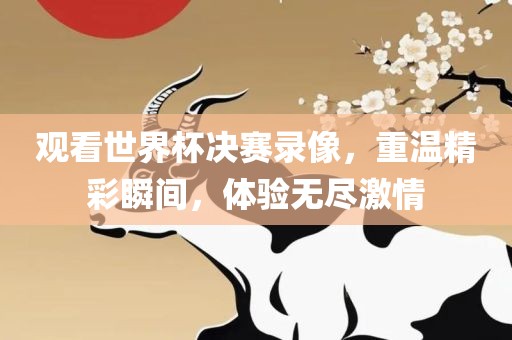 观看世界杯决赛录像，重温精彩瞬间，体验无尽激情