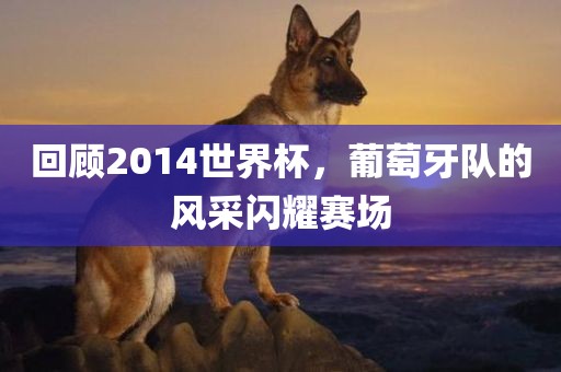 回顾2014世界杯，葡萄牙队的风采闪耀赛场