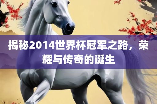 揭秘2014世界杯冠军之路，荣耀与传奇的诞生