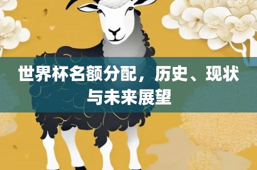 世界杯名额分配，历史、现状与未来展望