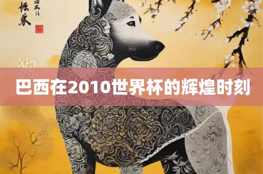 巴西在2010世界杯的辉煌时刻